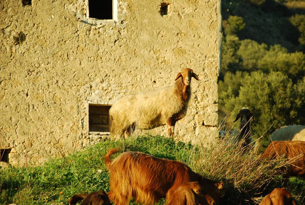 Experience Il Paesino Hotel Licodia Eubea Екстериор снимка